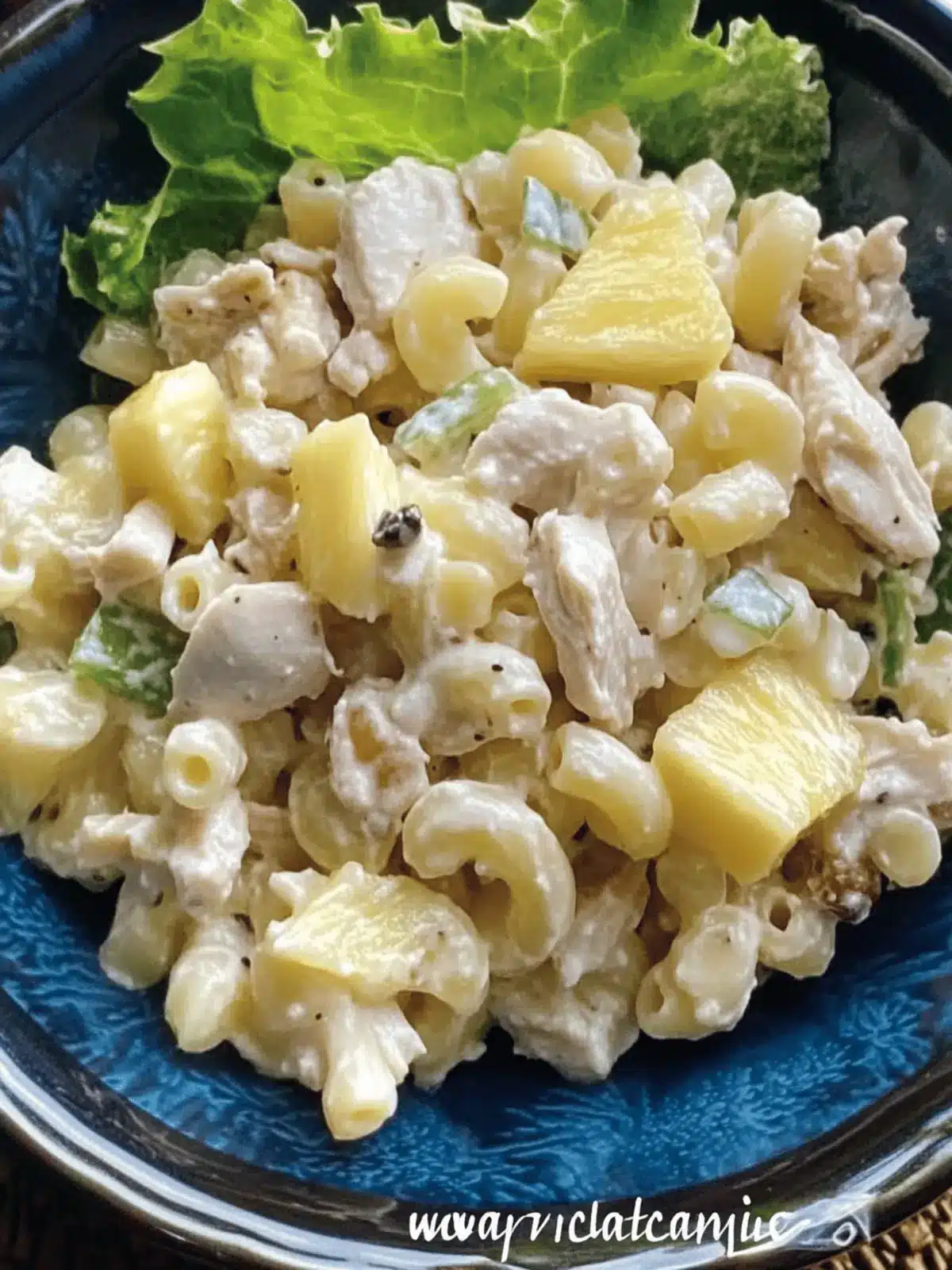 Sweet Macaroni Salad with Chicken and Pineapple Delight 2 Macaroni Salad with Chicken and Pineapple