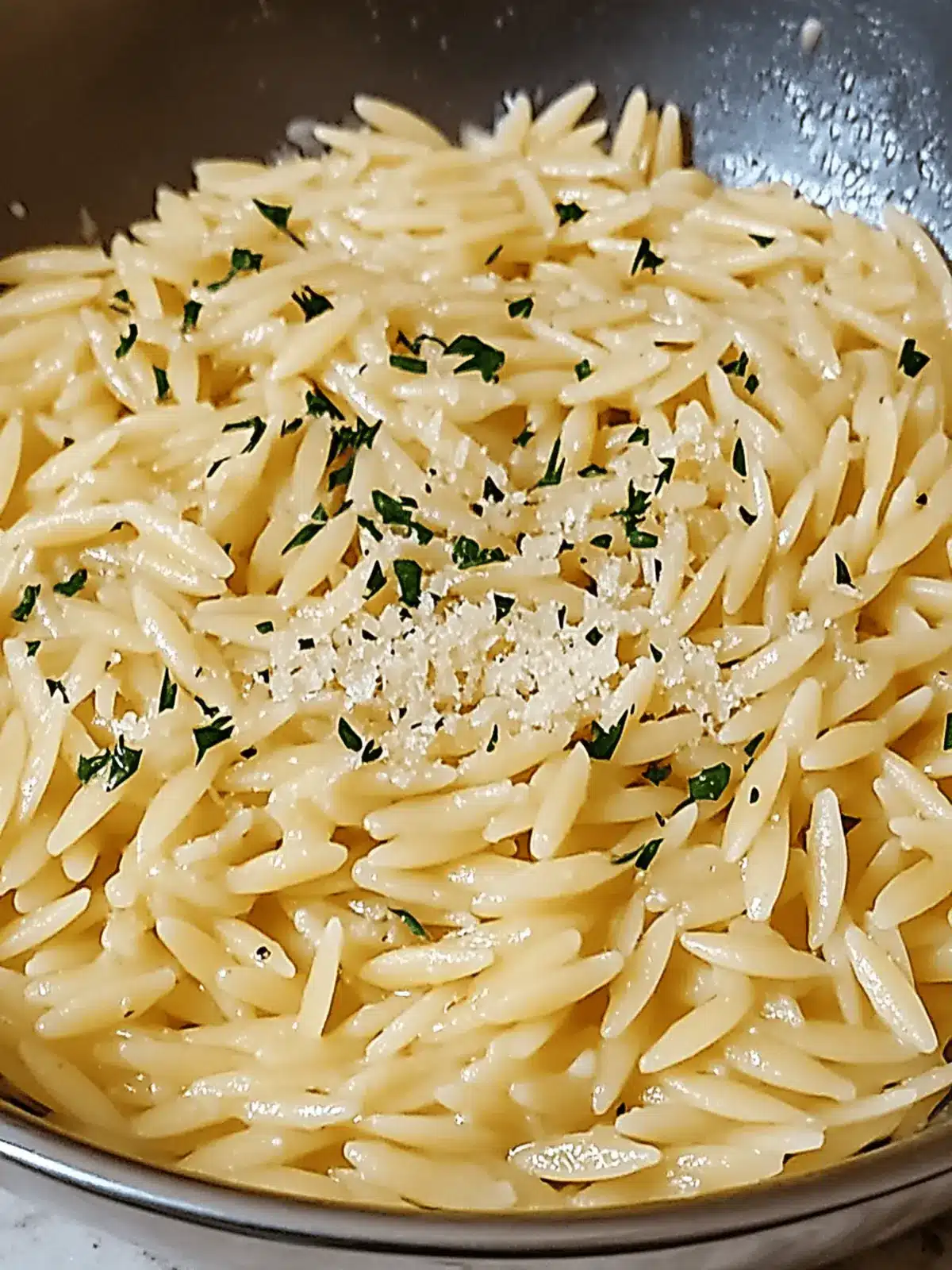 Creamy Garlic Parmesan Orzo Pasta Recipe for Comfort Lovers 2 Garlic Parmesan Orzo Pasta Recipe