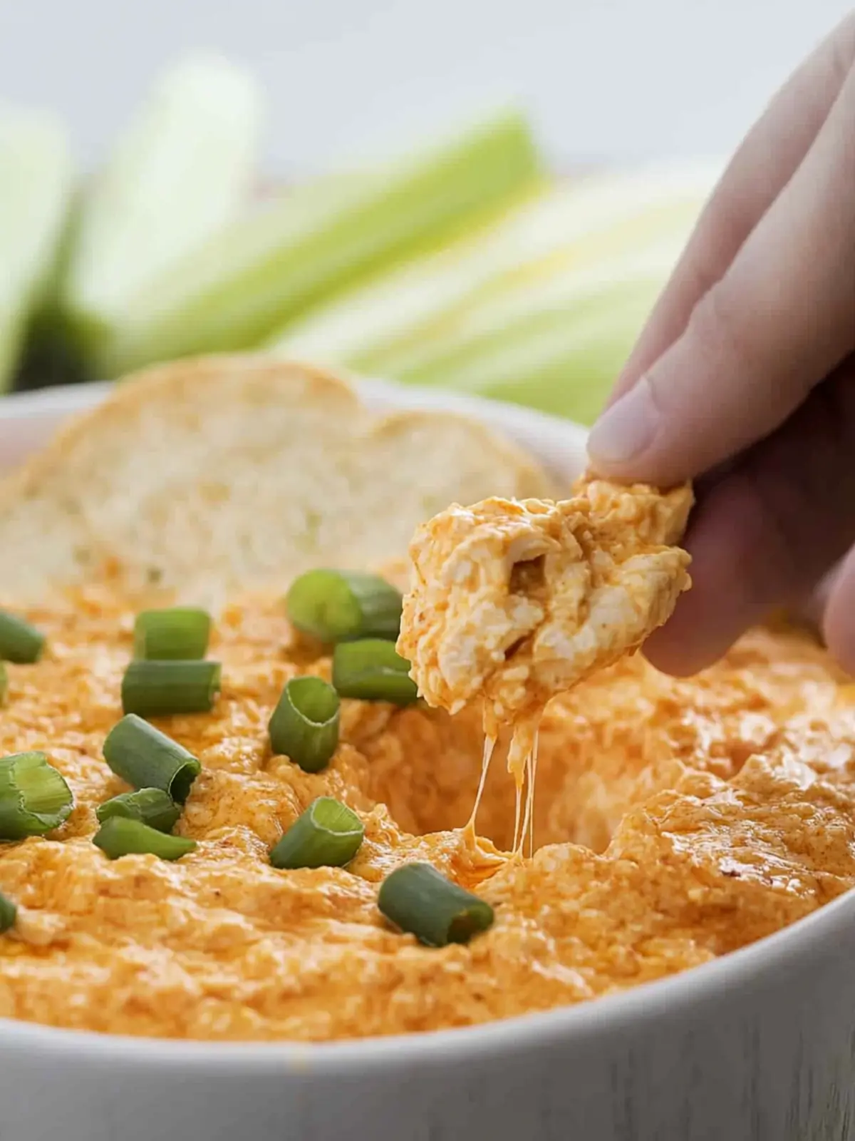 Crockpot Buffalo Chicken Dip