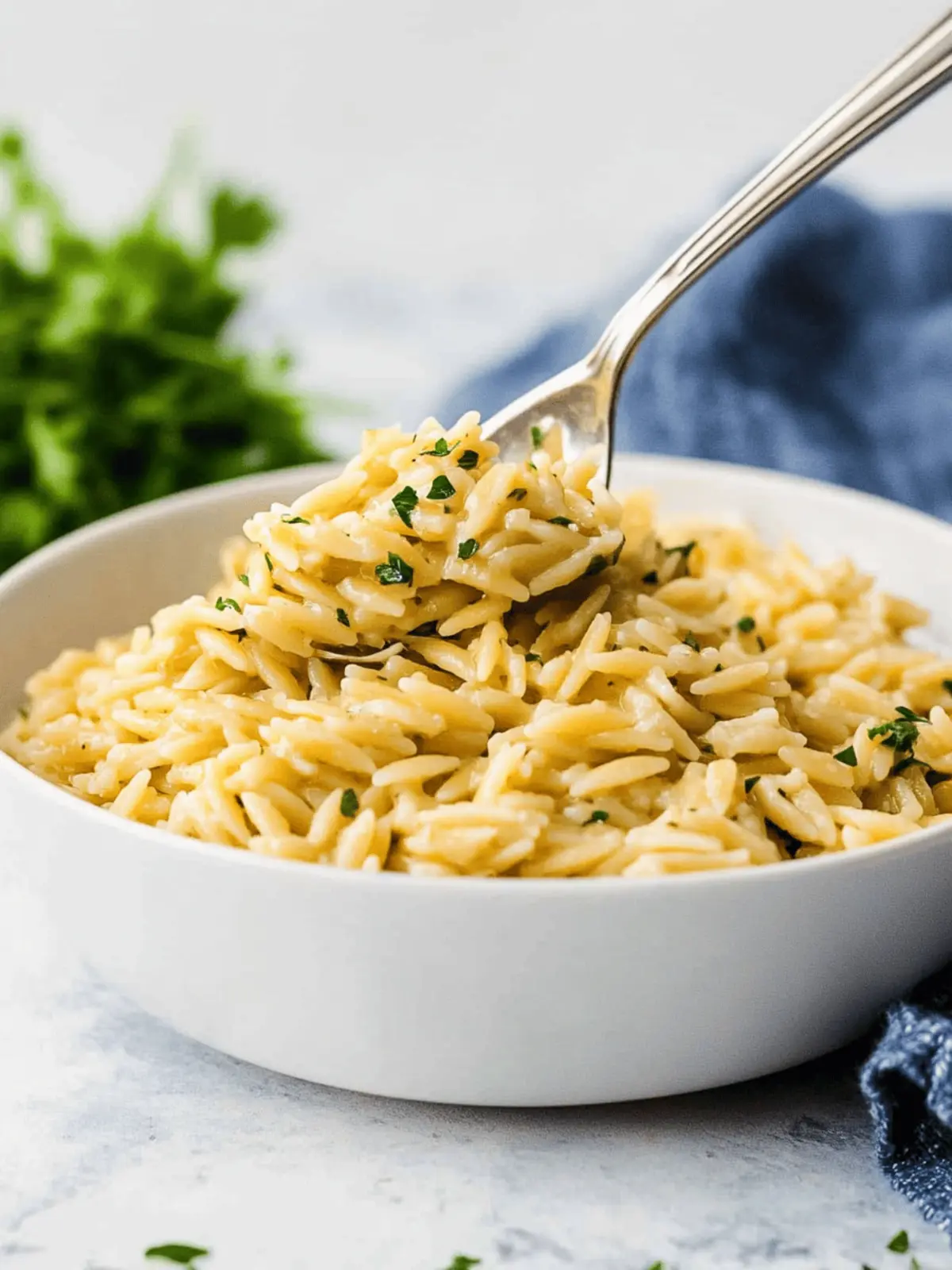 Garlic Lemon Orzo - Savor the Best